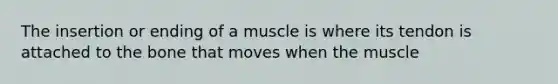 The insertion or ending of a muscle is where its tendon is attached to the bone that moves when the muscle