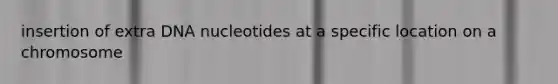 insertion of extra DNA nucleotides at a specific location on a chromosome