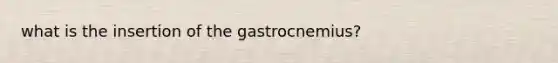 what is the insertion of the gastrocnemius?