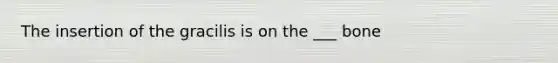 The insertion of the gracilis is on the ___ bone