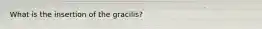 What is the insertion of the gracilis?