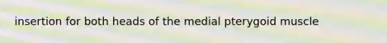 insertion for both heads of the medial pterygoid muscle