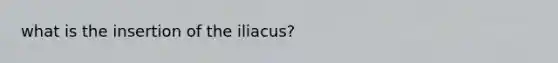 what is the insertion of the iliacus?