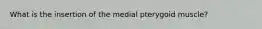 What is the insertion of the medial pterygoid muscle?