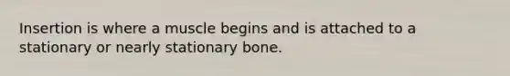 Insertion is where a muscle begins and is attached to a stationary or nearly stationary bone.