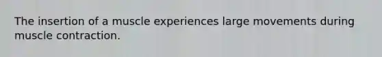 The insertion of a muscle experiences large movements during muscle contraction.