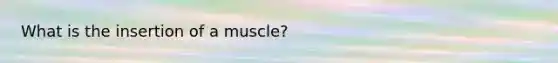 What is the insertion of a muscle?