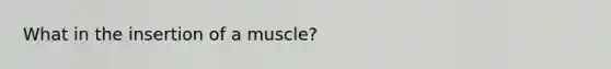 What in the insertion of a muscle?