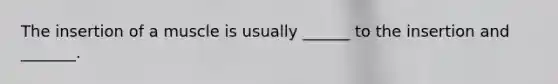 The insertion of a muscle is usually ______ to the insertion and _______.