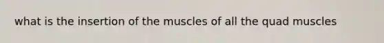 what is the insertion of the muscles of all the quad muscles