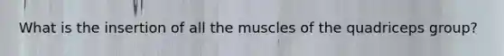 What is the insertion of all the muscles of the quadriceps group?