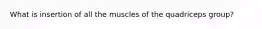 What is insertion of all the muscles of the quadriceps group?