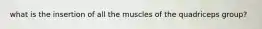 what is the insertion of all the muscles of the quadriceps group?