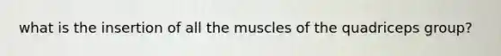 what is the insertion of all the muscles of the quadriceps group?