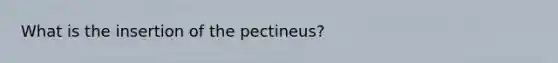 What is the insertion of the pectineus?