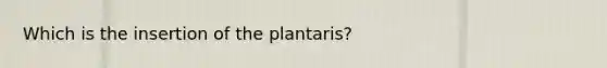 Which is the insertion of the plantaris?