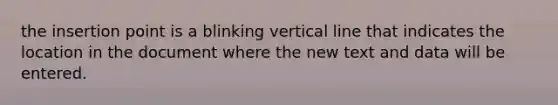 the insertion point is a blinking vertical line that indicates the location in the document where the new text and data will be entered.