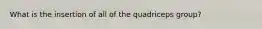 What is the insertion of all of the quadriceps group?