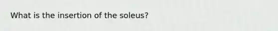 What is the insertion of the soleus?