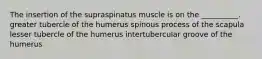 The insertion of the supraspinatus muscle is on the __________. greater tubercle of the humerus spinous process of the scapula lesser tubercle of the humerus intertubercular groove of the humerus