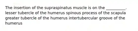 The insertion of the supraspinatus muscle is on the __________. lesser tubercle of the humerus spinous process of the scapula greater tubercle of the humerus intertubercular groove of the humerus