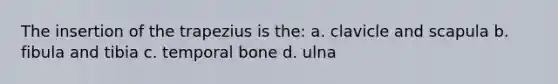 The insertion of the trapezius is the: a. clavicle and scapula b. fibula and tibia c. temporal bone d. ulna