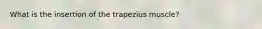 What is the insertion of the trapezius muscle?