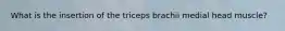 What is the insertion of the triceps brachii medial head muscle?