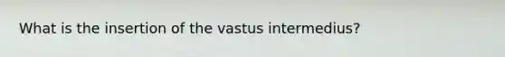 What is the insertion of the vastus intermedius?