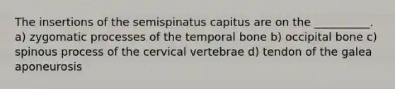 The insertions of the semispinatus capitus are on the __________. a) zygomatic processes of the temporal bone b) occipital bone c) spinous process of the cervical vertebrae d) tendon of the galea aponeurosis