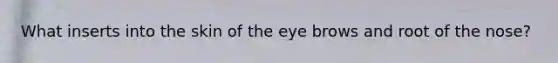 What inserts into the skin of the eye brows and root of the nose?