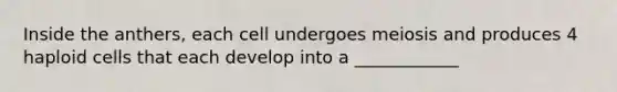 Inside the anthers, each cell undergoes meiosis and produces 4 haploid cells that each develop into a ____________
