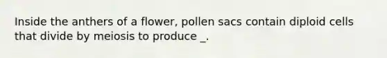 Inside the anthers of a flower, pollen sacs contain diploid cells that divide by meiosis to produce _.