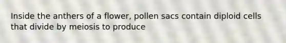 Inside the anthers of a flower, pollen sacs contain diploid cells that divide by meiosis to produce