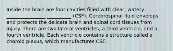 Inside <a href='https://www.questionai.com/knowledge/kLMtJeqKp6-the-brain' class='anchor-knowledge'>the brain</a> are four cavities filled with clear, watery ________________ __________ (CSF). Cerebrospinal fluid envelops and protects the delicate brain and spinal cord tissues from injury. There are two lateral ventricles, a third ventricle, and a fourth ventricle. Each ventricle contains a structure called a choroid plexus, which manufactures CSF.