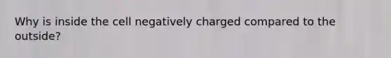 Why is inside the cell negatively charged compared to the outside?