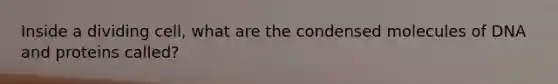 Inside a dividing cell, what are the condensed molecules of DNA and proteins called?