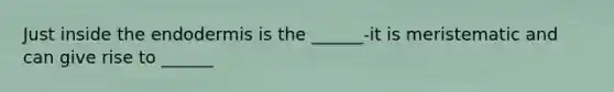 Just inside the endodermis is the ______-it is meristematic and can give rise to ______