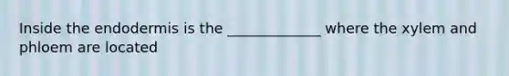 Inside the endodermis is the _____________ where the xylem and phloem are located