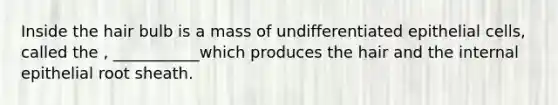 Inside the hair bulb is a mass of undifferentiated epithelial cells, called the , ___________which produces the hair and the internal epithelial root sheath.
