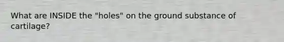 What are INSIDE the "holes" on the ground substance of cartilage?