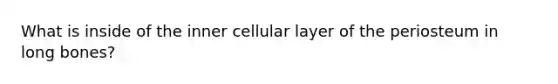 What is inside of the inner cellular layer of the periosteum in long bones?