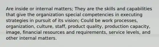 Are inside or internal matters; They are the skills and capabilities that give the organization special competencies in executing strategies in pursuit of its vision; Could be work processes, organization, culture, staff, product quality, production capacity, image, financial resources and requirements, service levels, and other internal matters.