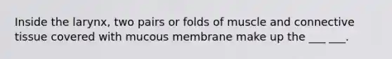 Inside the larynx, two pairs or folds of muscle and connective tissue covered with mucous membrane make up the ___ ___.
