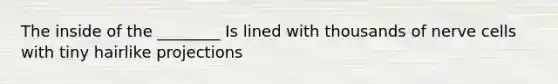The inside of the ________ Is lined with thousands of nerve cells with tiny hairlike projections