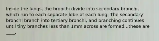 Inside the lungs, the bronchi divide into secondary bronchi, which run to each separate lobe of each lung. The secondary bronchi branch into tertiary bronchi, and branching continues until tiny branches less than 1mm across are formed...these are ____.