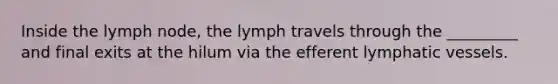 Inside the lymph node, the lymph travels through the _________ and final exits at the hilum via the efferent lymphatic vessels.