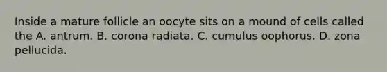 Inside a mature follicle an oocyte sits on a mound of cells called the A. antrum. B. corona radiata. C. cumulus oophorus. D. zona pellucida.