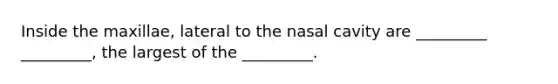 Inside the maxillae, lateral to the nasal cavity are _________ _________, the largest of the _________.