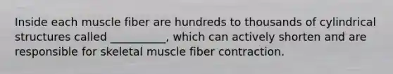 Inside each muscle fiber are hundreds to thousands of cylindrical structures called __________, which can actively shorten and are responsible for skeletal muscle fiber contraction.